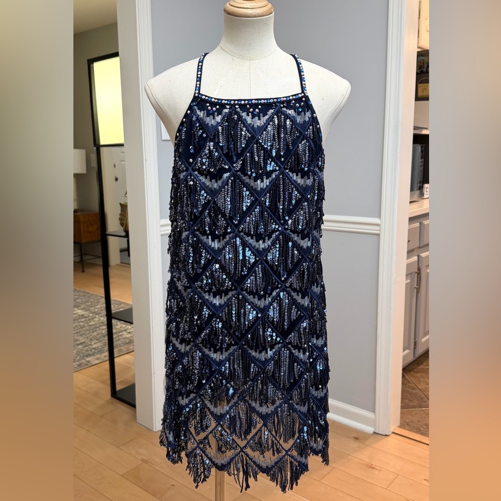 Blue and silver costume CXL